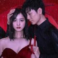 hulu佐々木希結婚
