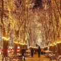 光のページェント 電球 ピンク