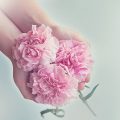 母の日 カーネーション 花言葉