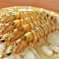海老 殻付き 冷凍保存